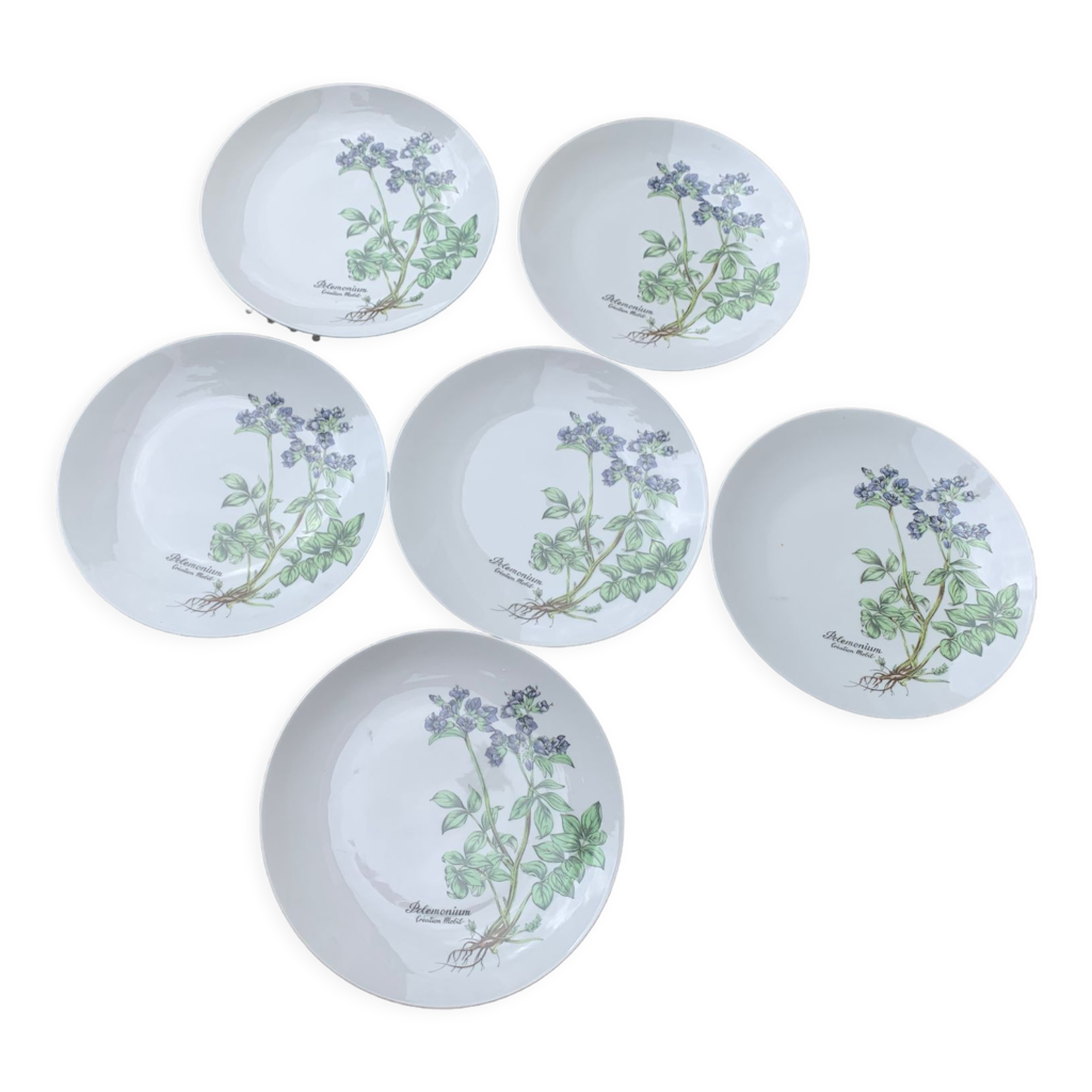 6 assiettes plates motif herbier création mobil winterling bavaria vintage  | Selency