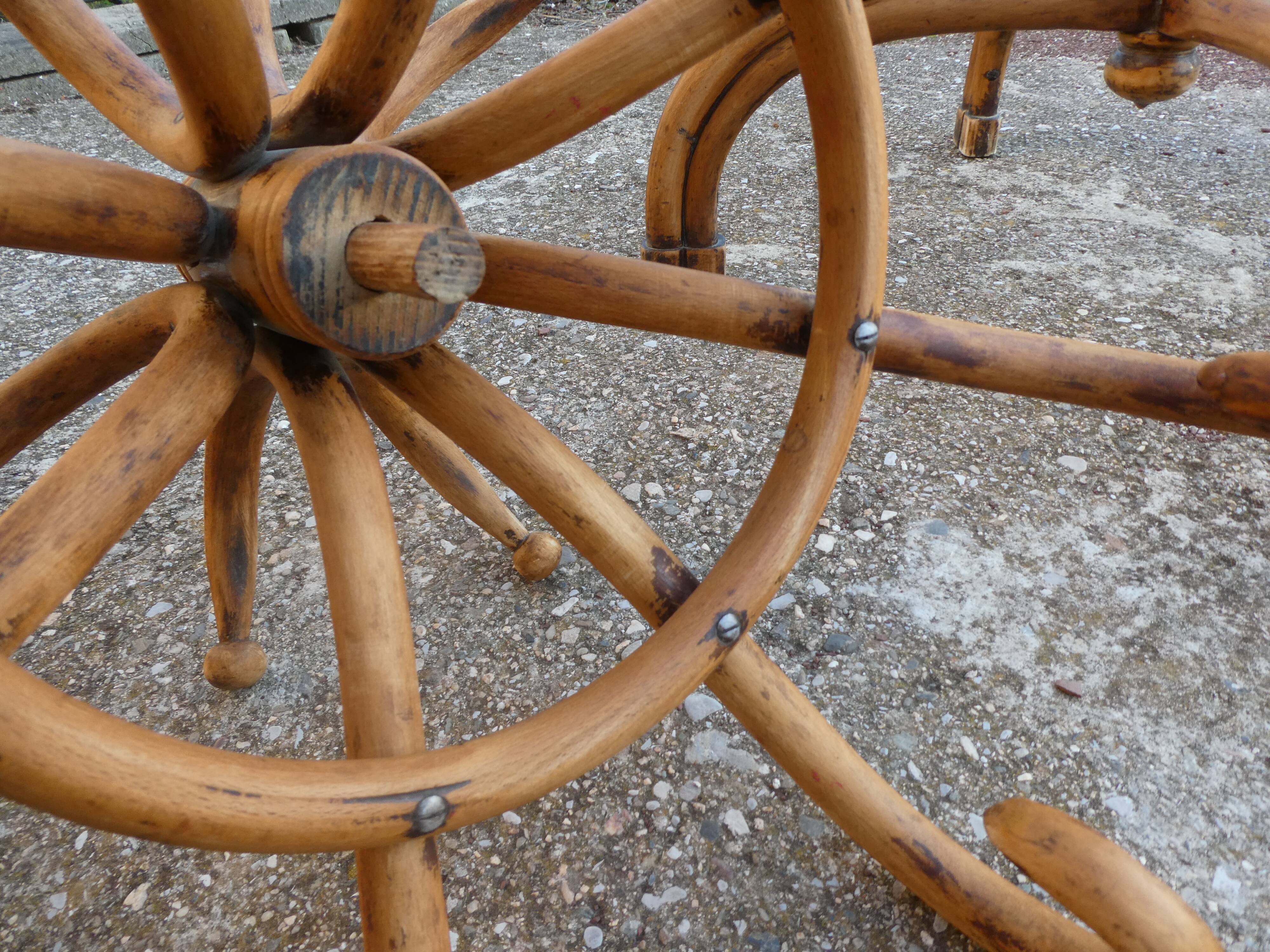 Parrot coat rack in curved wood - Art Nouveau