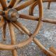 Parrot coat rack in curved wood - Art Nouveau