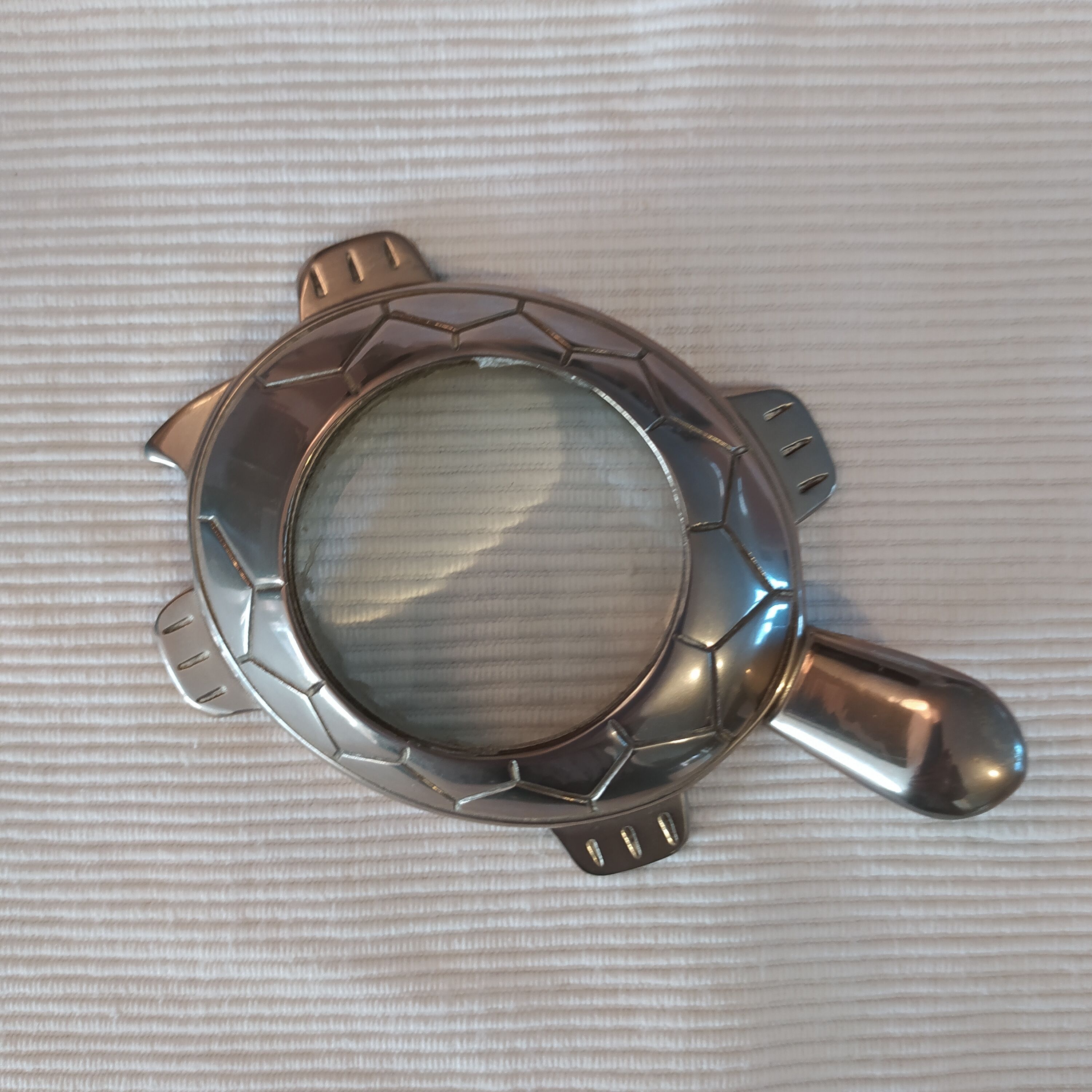 Clipboard turtle magnifying glass