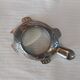 Clipboard turtle magnifying glass