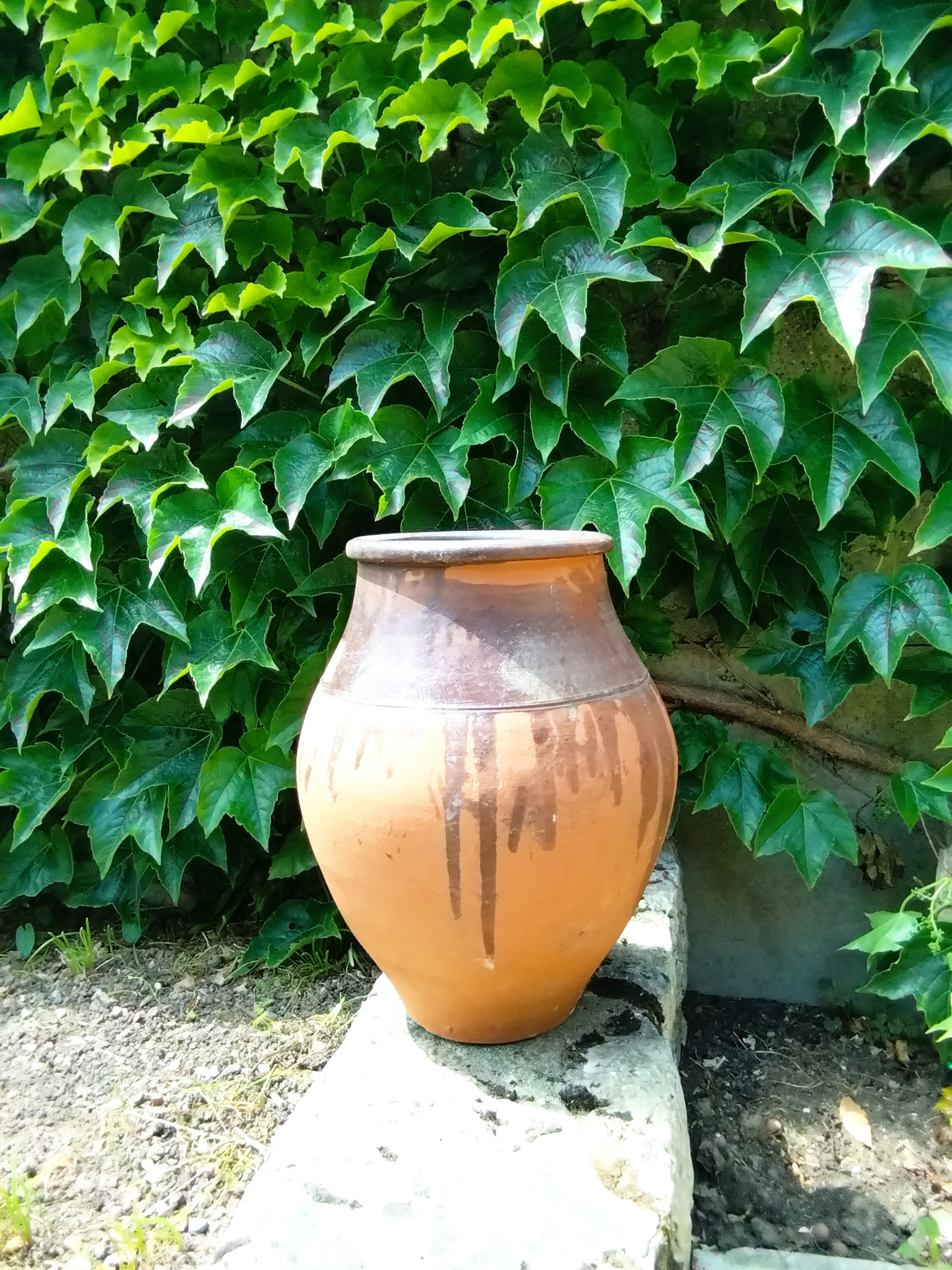 Vintage terracotta jar