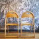 Pair folding chairs Thonet B751