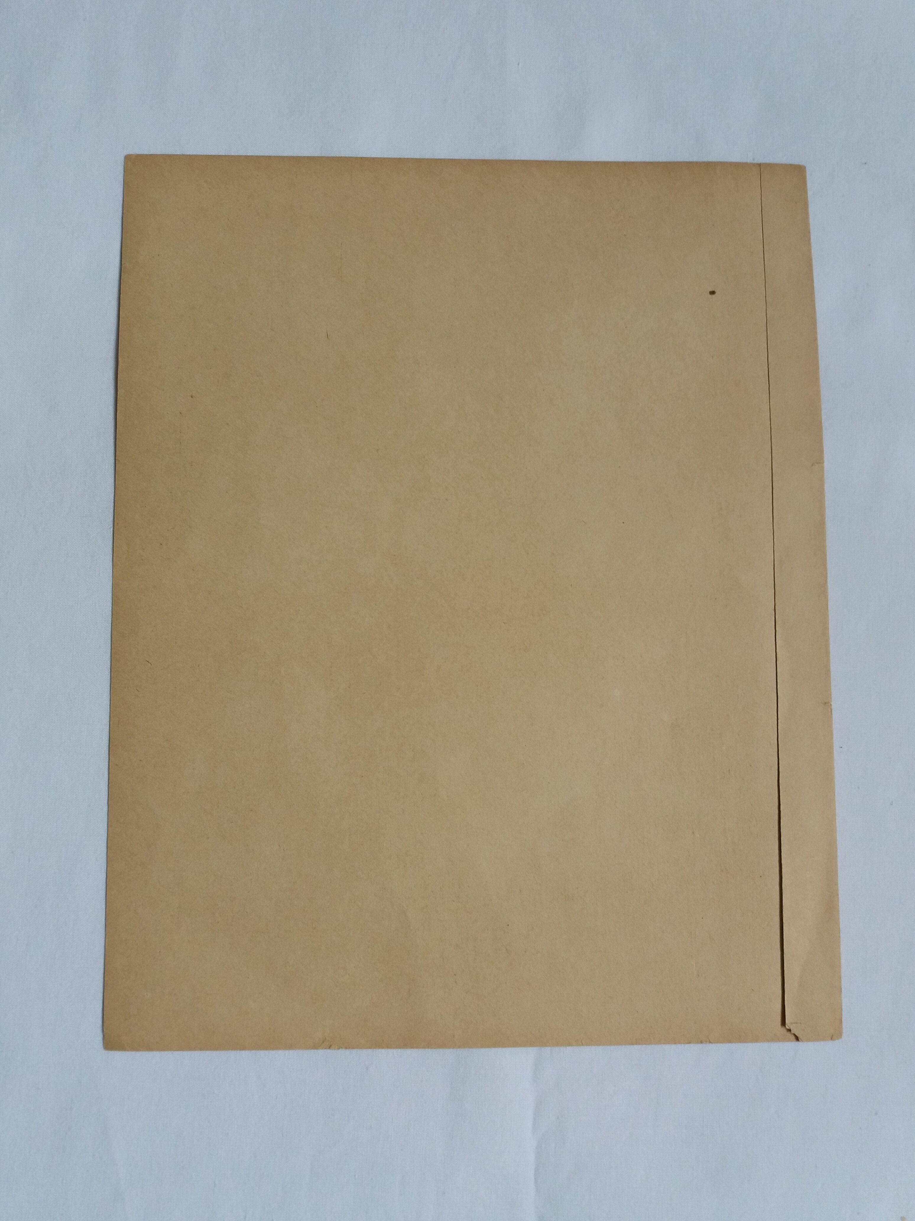 Ancient lithograph architecture detail of the porch of a church