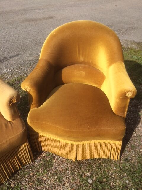 Pair of toad armchairs