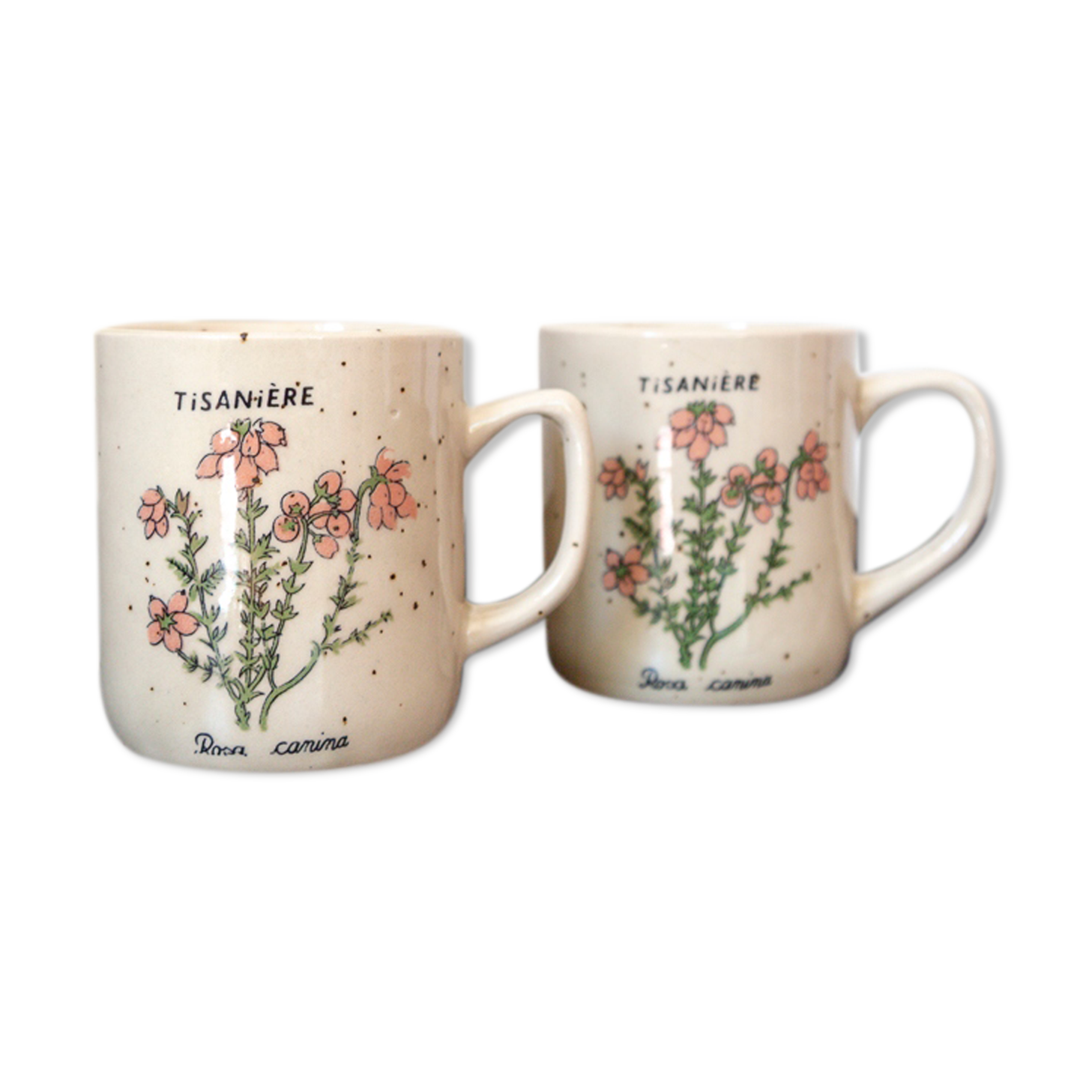 2 tea cups in speckled sandstone flowers rosa canina