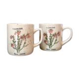 2 tea cups in speckled sandstone flowers rosa canina