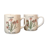 2 tea cups in speckled sandstone flowers rosa canina