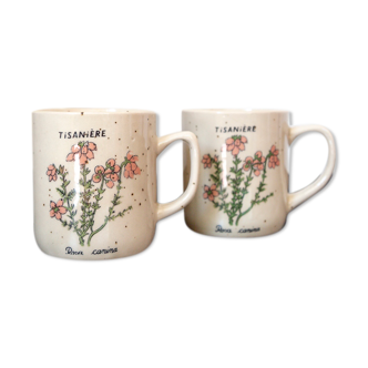 2 tea cups in speckled sandstone flowers rosa canina