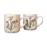 2 tea cups in speckled sandstone flowers rosa canina