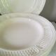 5 Gien- Cabbage Bridge Plates