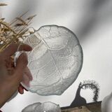 4 cups bowls transparent glass sheets