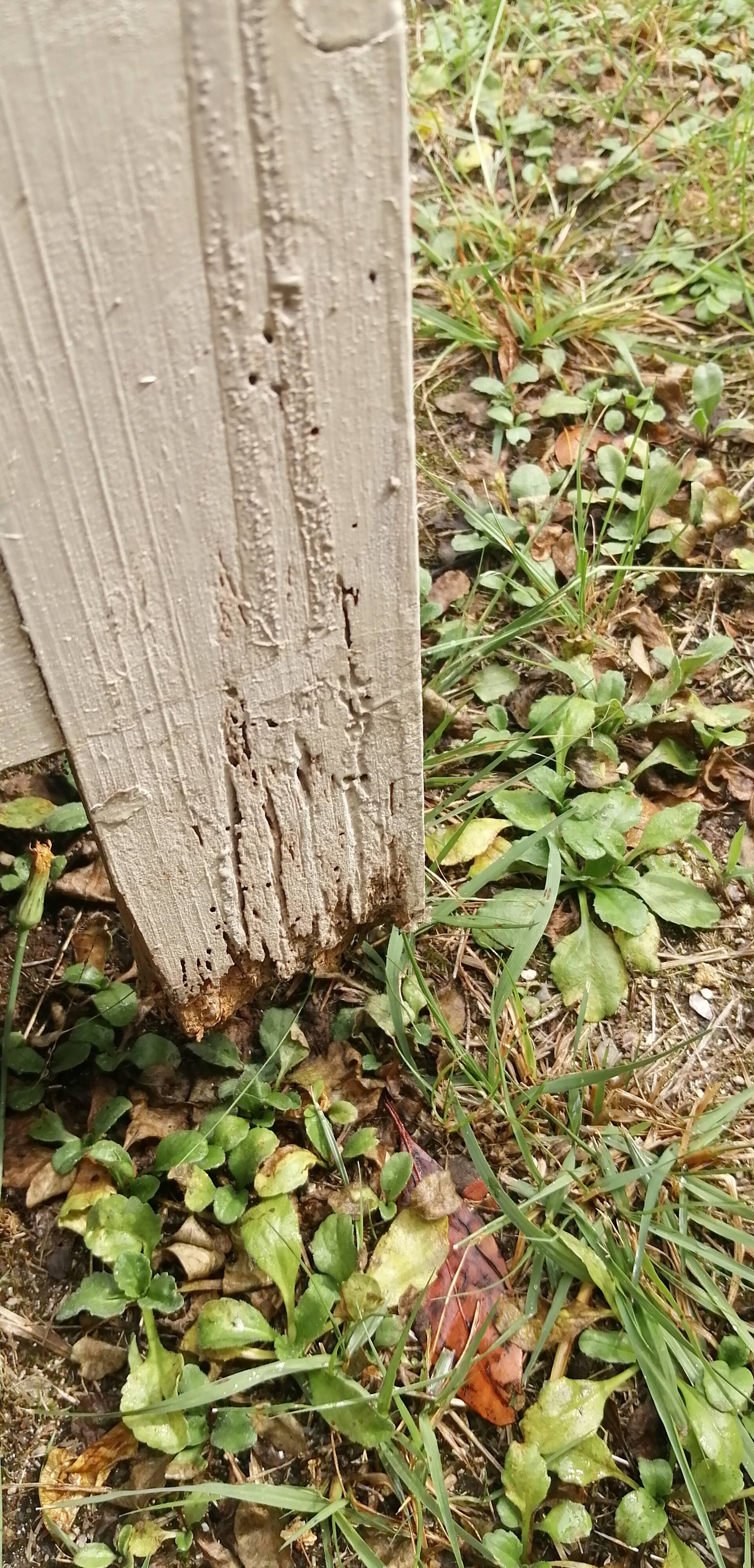 Parisian buffet decorated with flowers