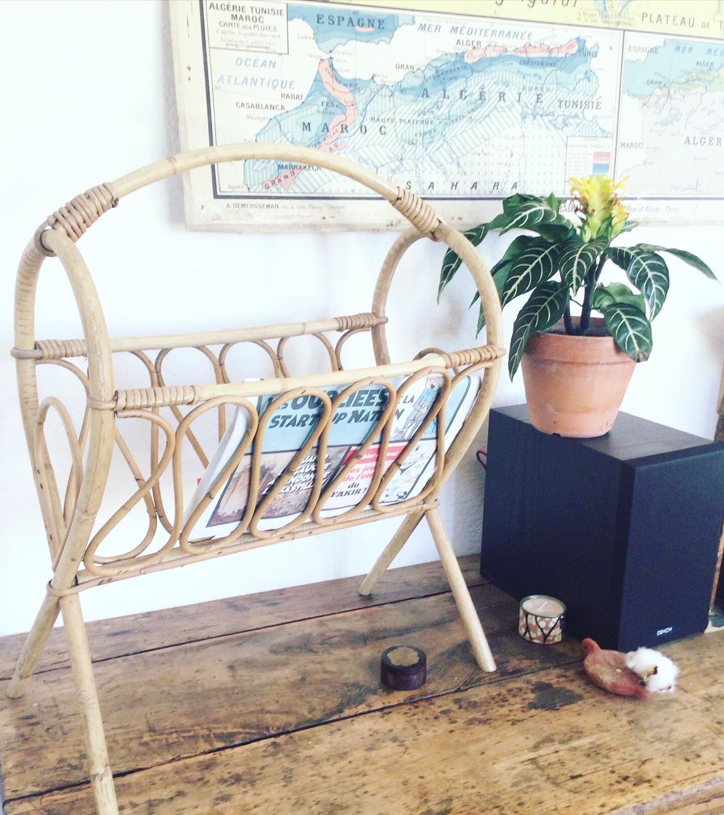 Rattan magazine holder