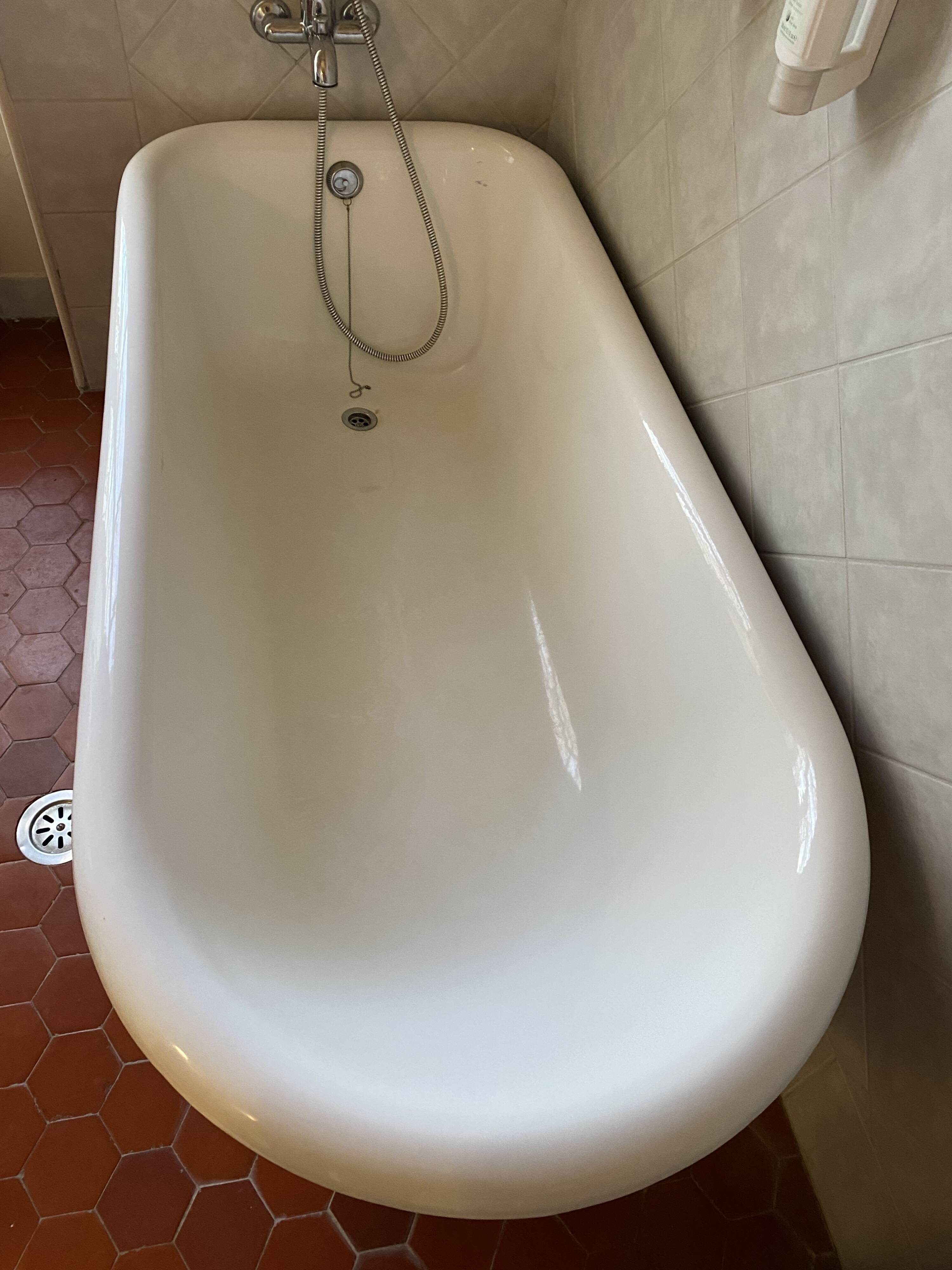 lion paw bathtub