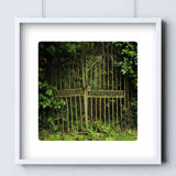 Limited edition art photo numbered dated and signed