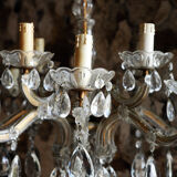 Grapevine chandelier