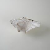 Decorative Triton seashell, boho style, 1980s