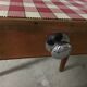 Child desk 50s