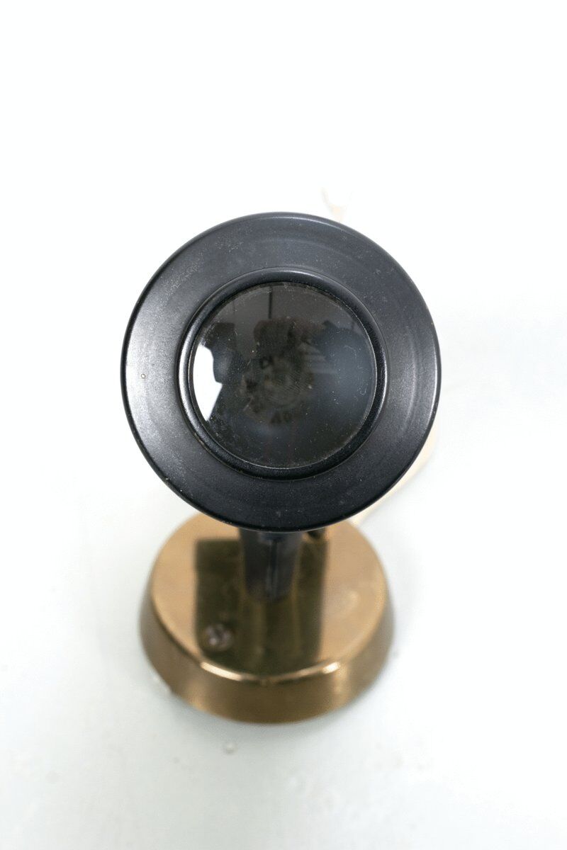 Zodiac Spotlight Wall Lamp by Jacques Biny