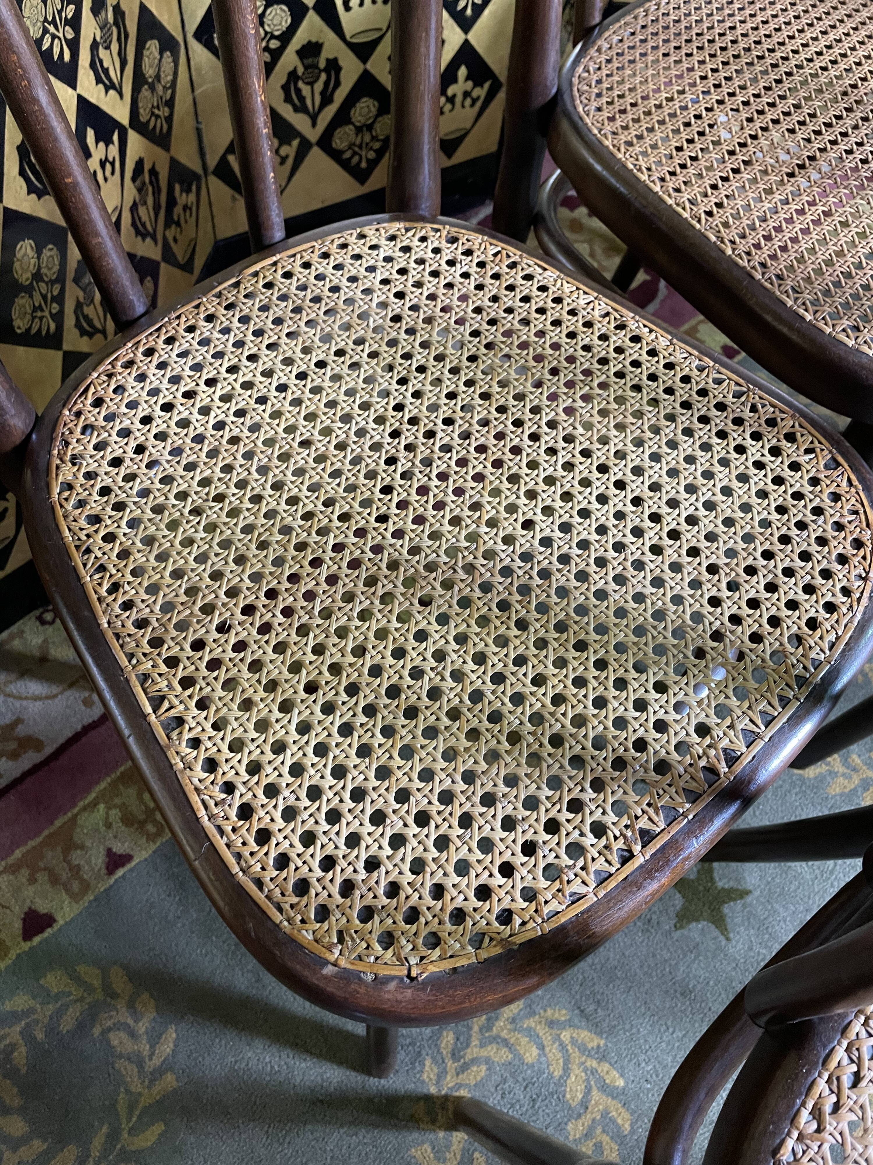 Suite of 8 chairs bistro Thonet number 56