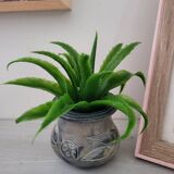 Small Kenyan soapstone pot