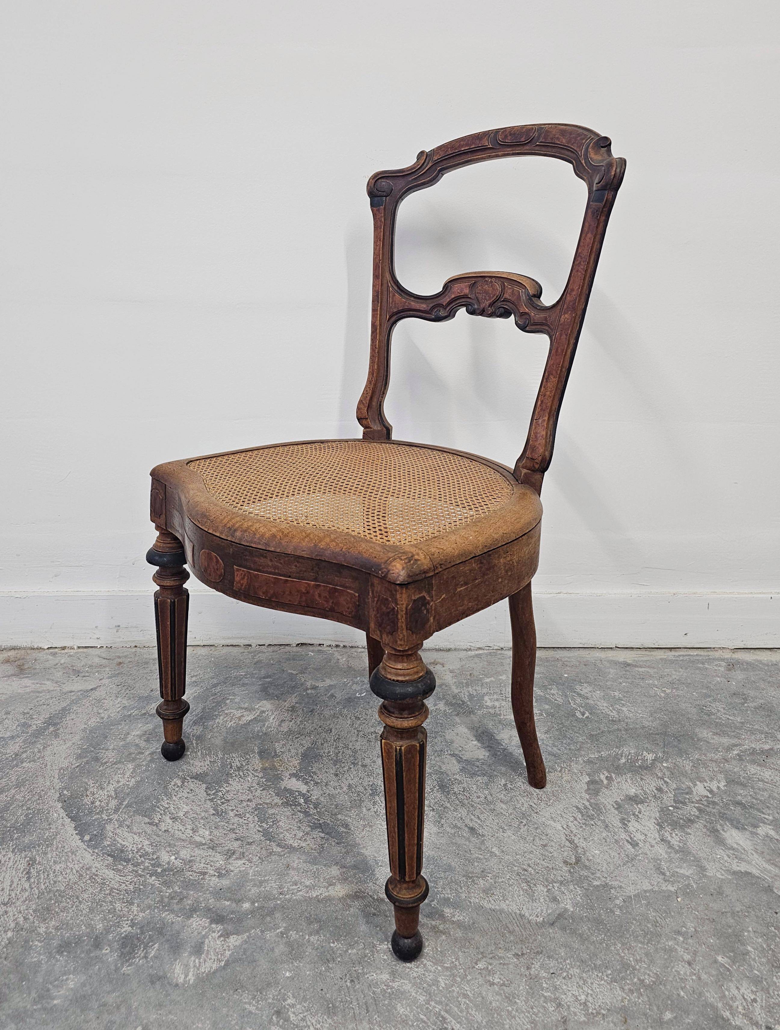 Set of 6 antique dining chairs in solid walnut, cane seats, 19th century.