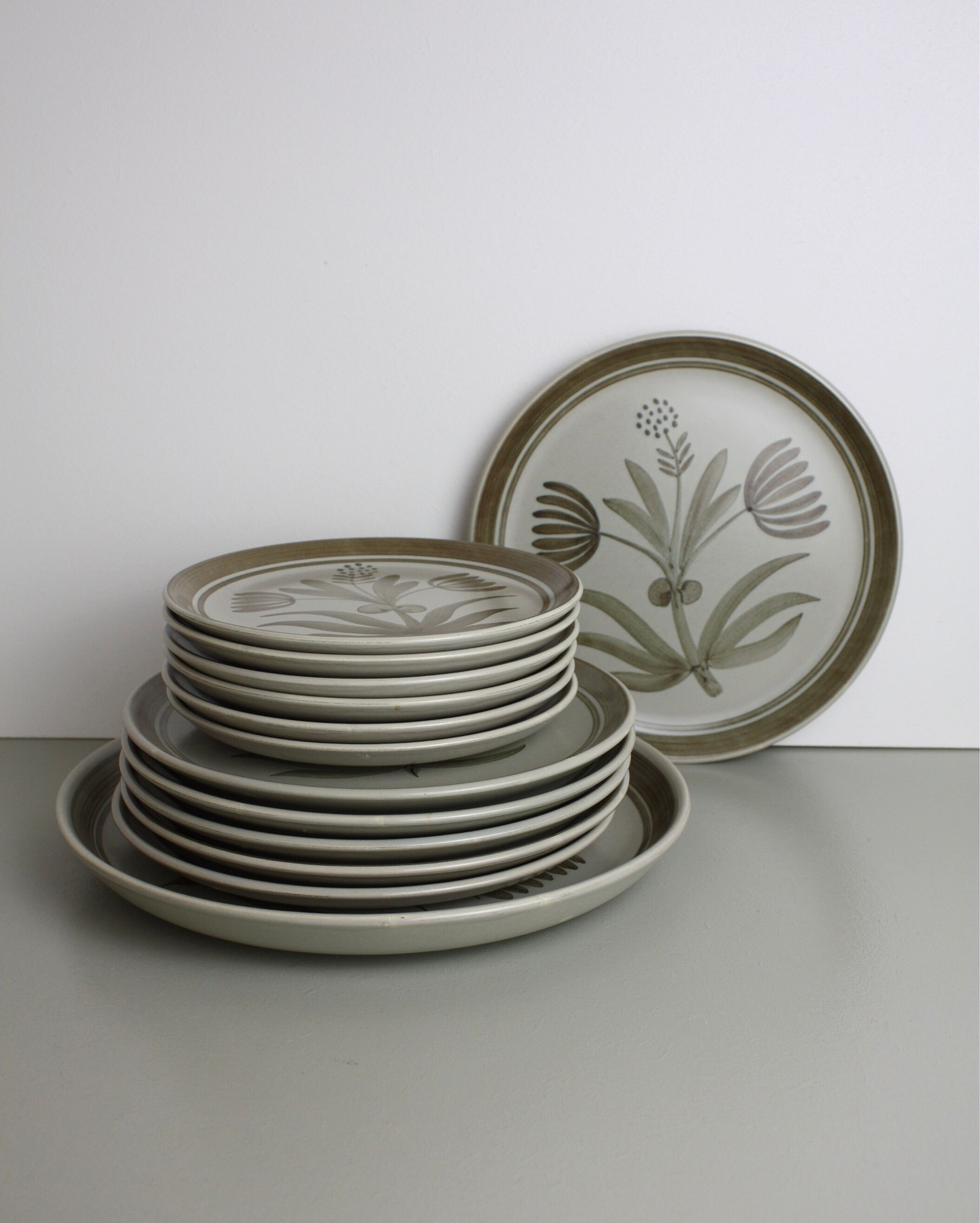 Set of 12 plates Longchamp + 1 dish