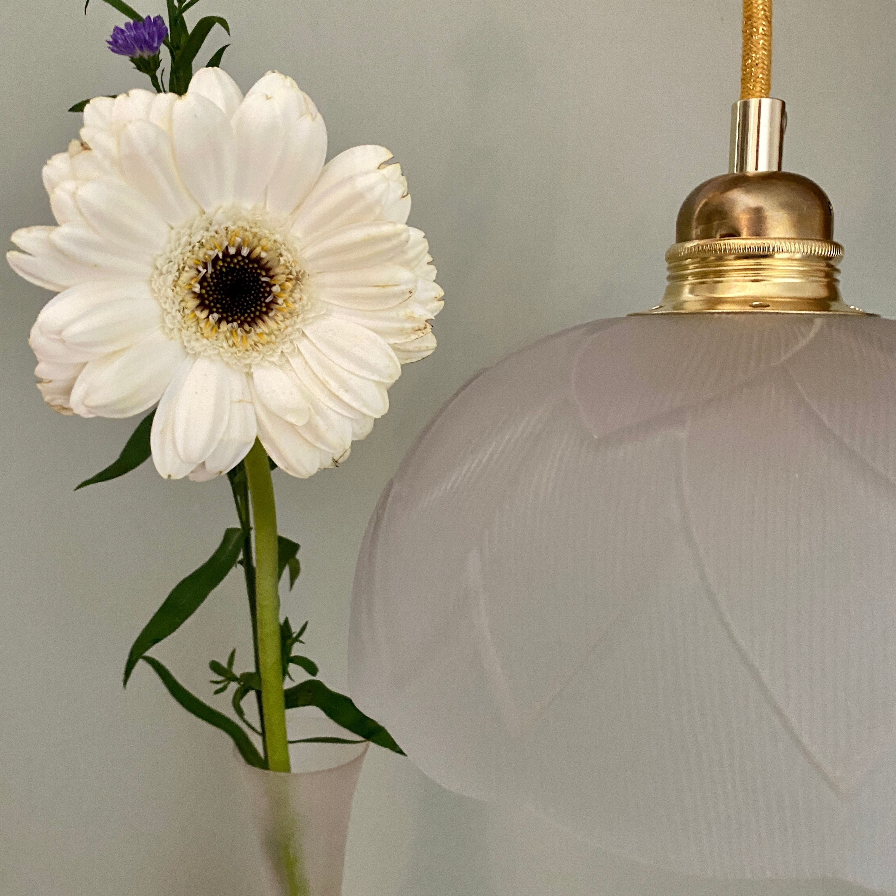 Vintage frosted glass lampshade pendant lamp