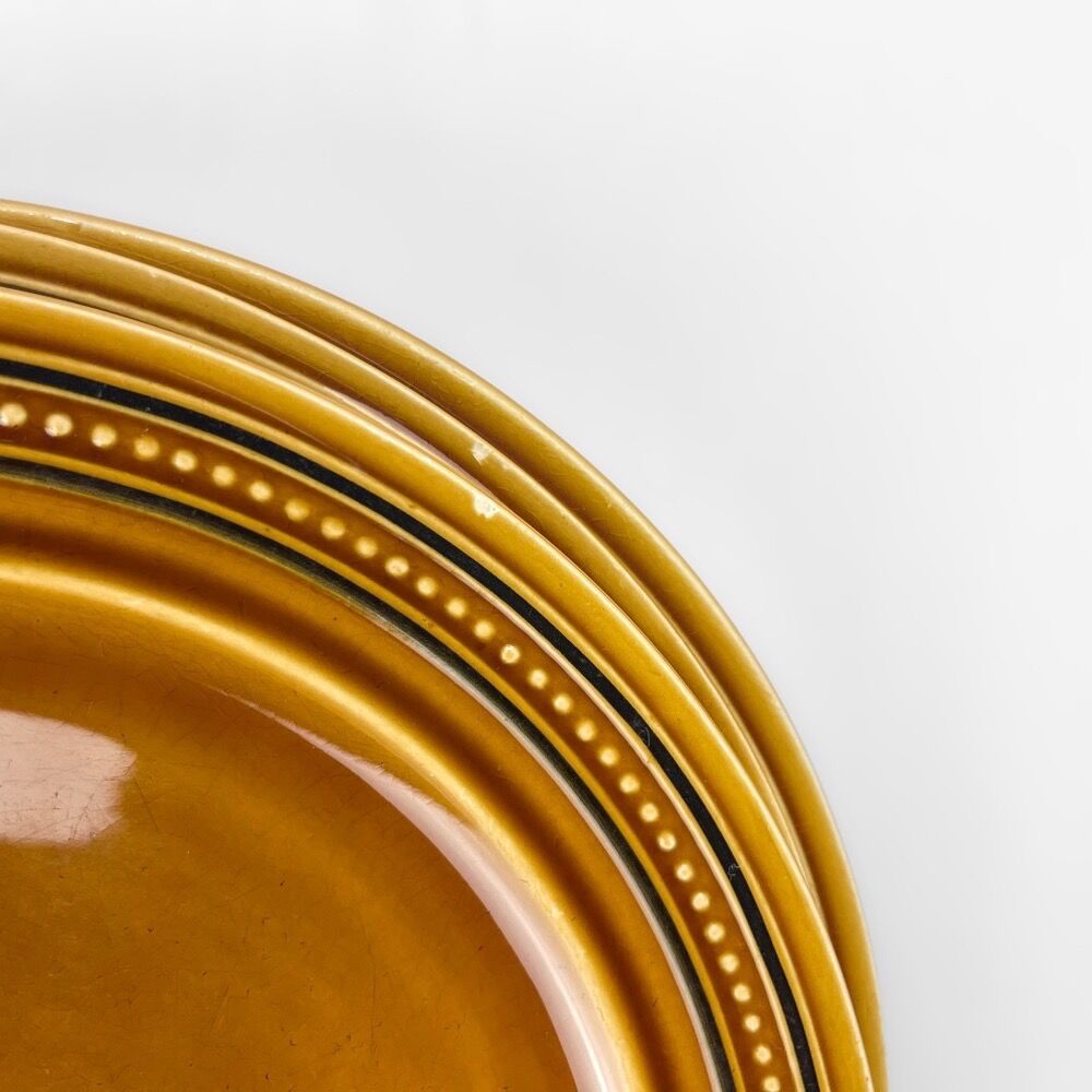 6 flat plates earthenware of Saint Amand model Toulouse