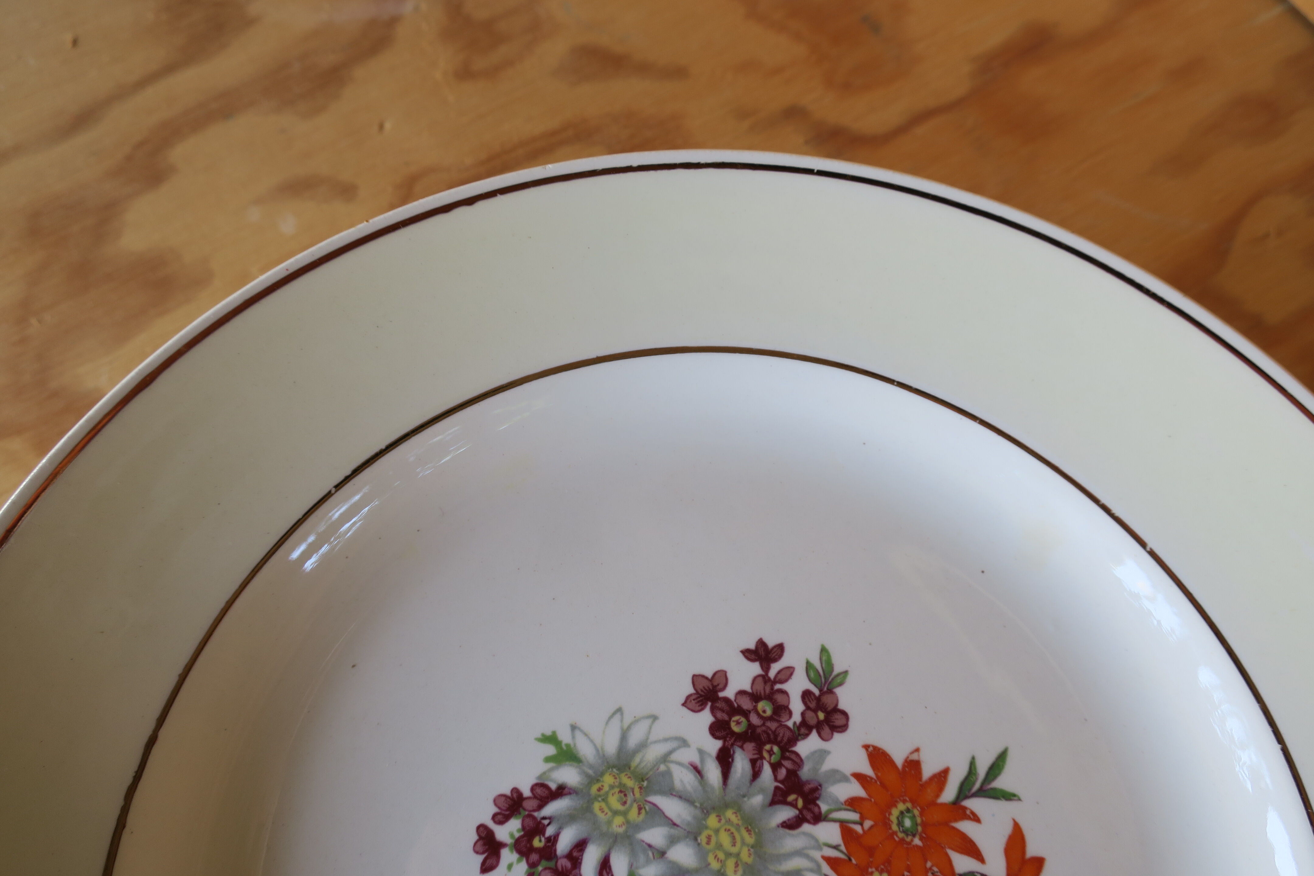 6 vintage gien France plates