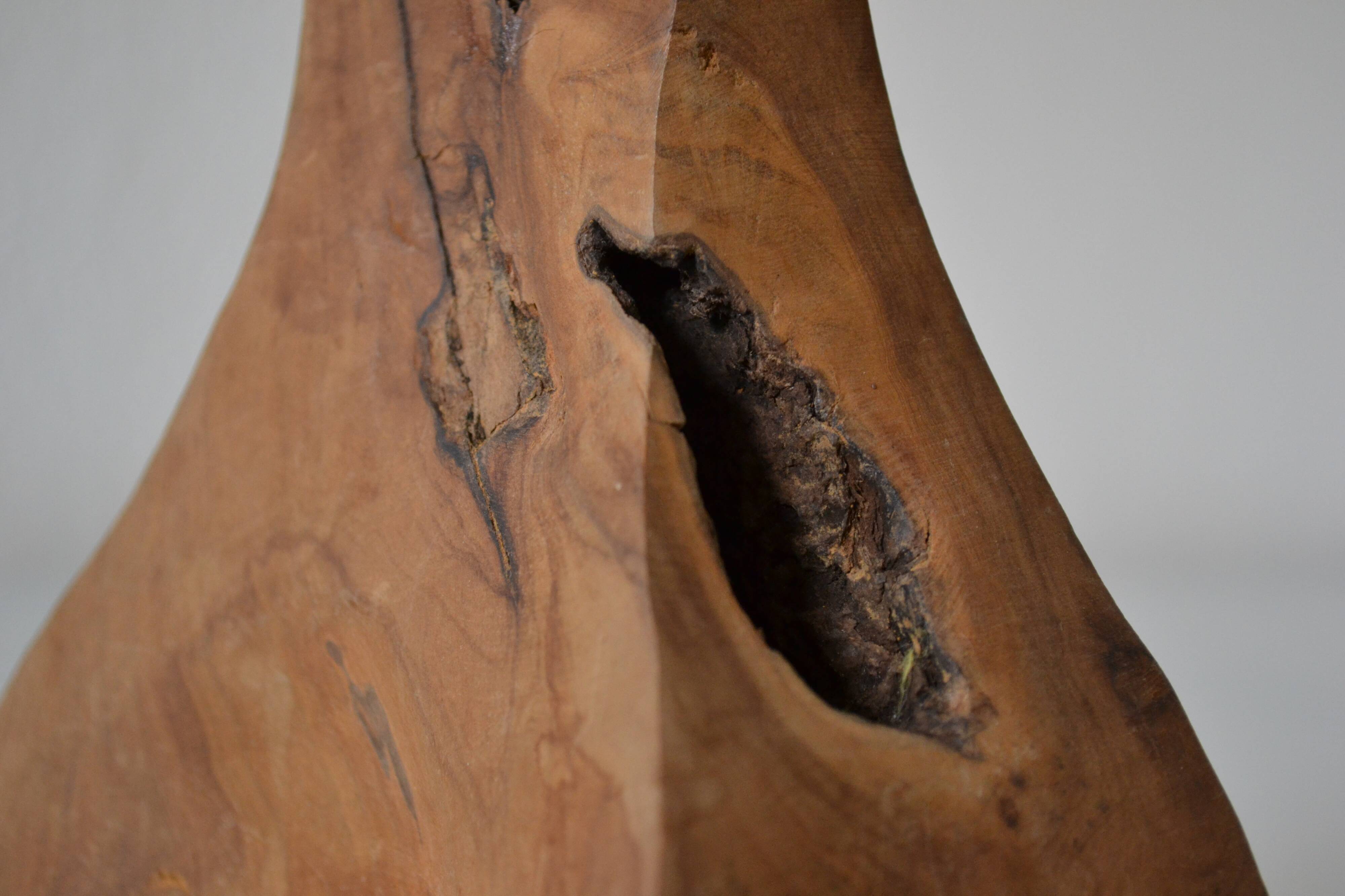 Modernist brutalist lamp free form years 60 olive wood