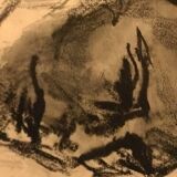 Dessins de nus