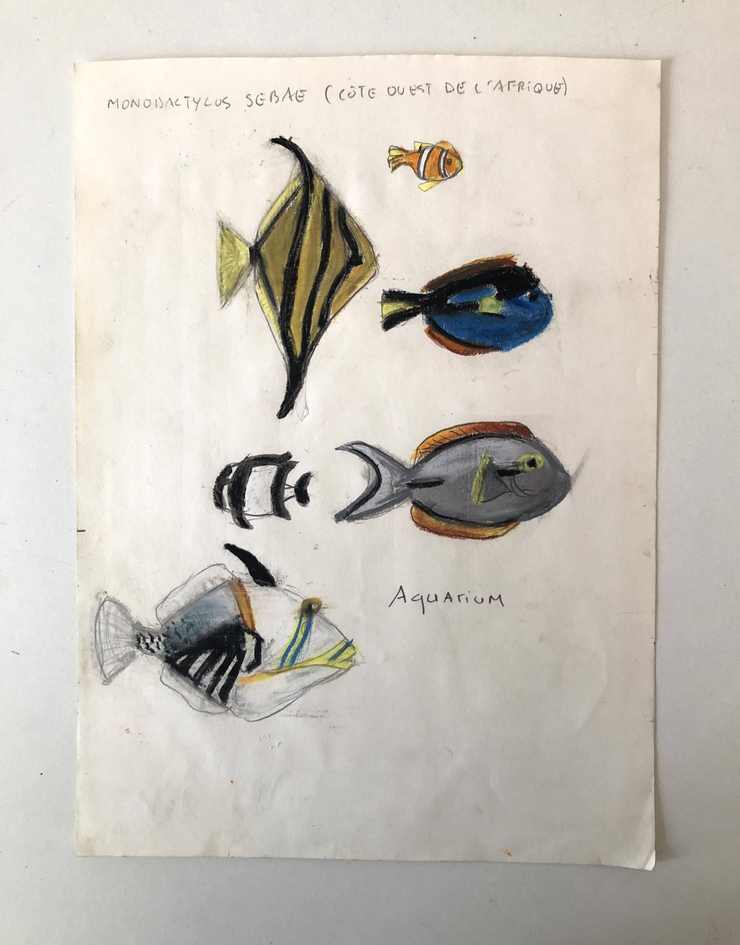 Fish Illustration
