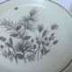Set of 6 flat english plates