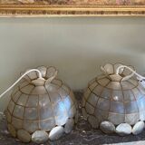 Vintage mother-of-pearl pendant light