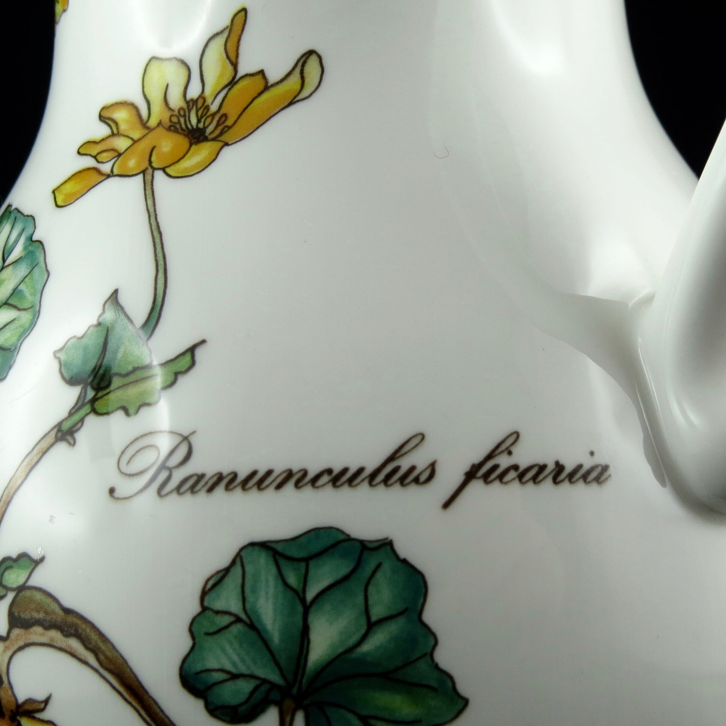 Pitcher broc botanica faïence villeroy & Bochh