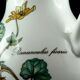 Pitcher broc botanica faïence villeroy & Bochh