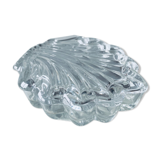 Shell-shaped glass box