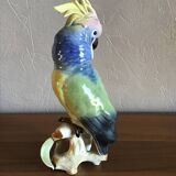 Parrot German Porcelain Decoration