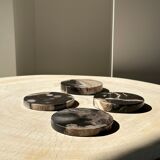 Set of 4 fossilized wooden coasters