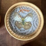 Lot de six sous verres en bambou et papillons