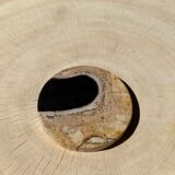 Set of 3 fossilized wooden coasters (clear)