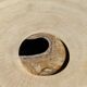 Set of 3 fossilized wooden coasters (clear)