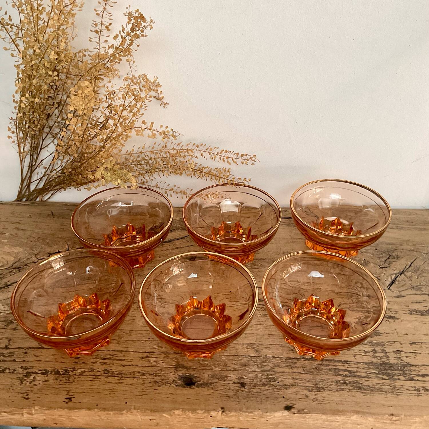 6 Rosaline champagne glasses