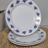 Dessert plates with blue leaves