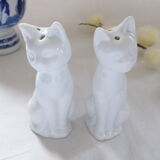 Salt and pepper shaker