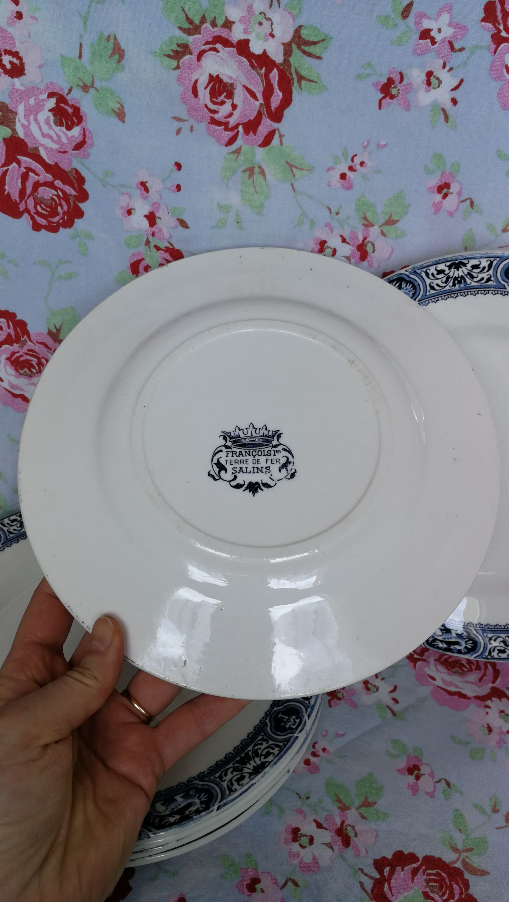 6 flat plates made of blue iron earth from Salins, François 1st