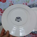 6 flat plates made of blue iron earth from Salins, François 1st