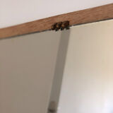 Trapezoidal mirror in solid oak